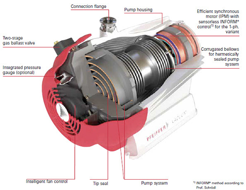 scroll vacuum pump